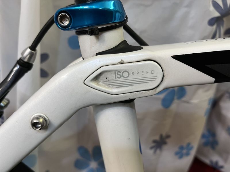 Trek domane
