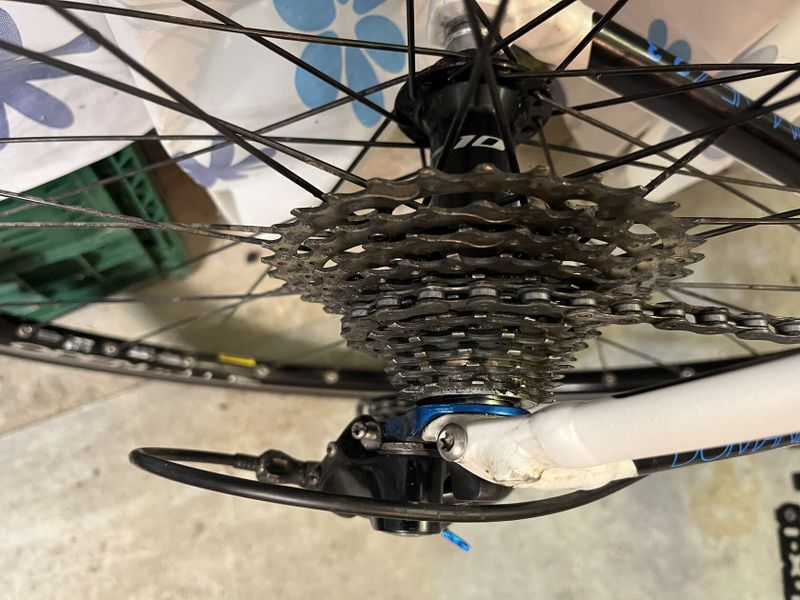 Trek domane