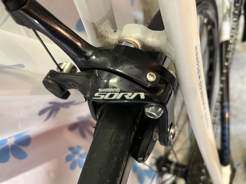Trek domane