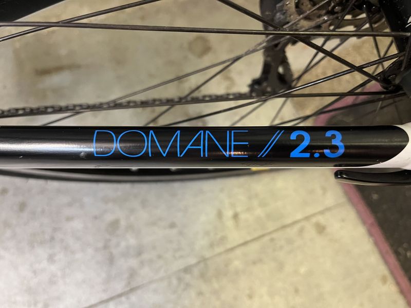 Trek domane