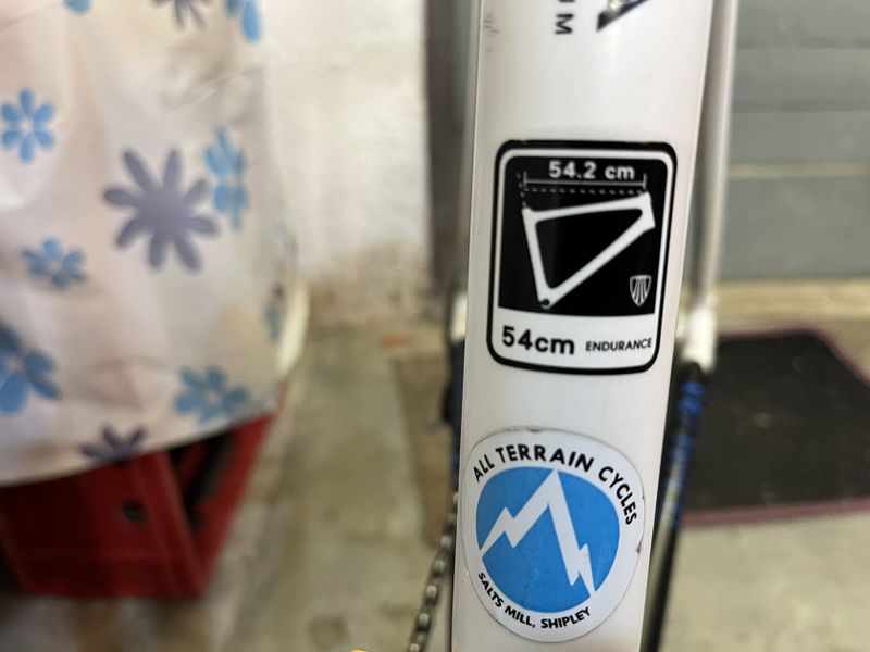 Trek domane