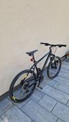 cboardman COMP
