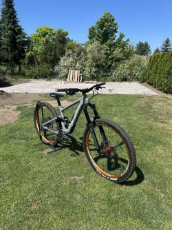 Specialized Enduro custom build