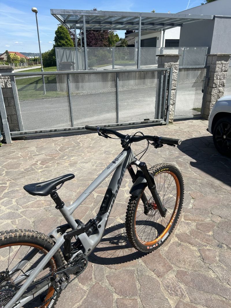 Specialized Enduro custom build