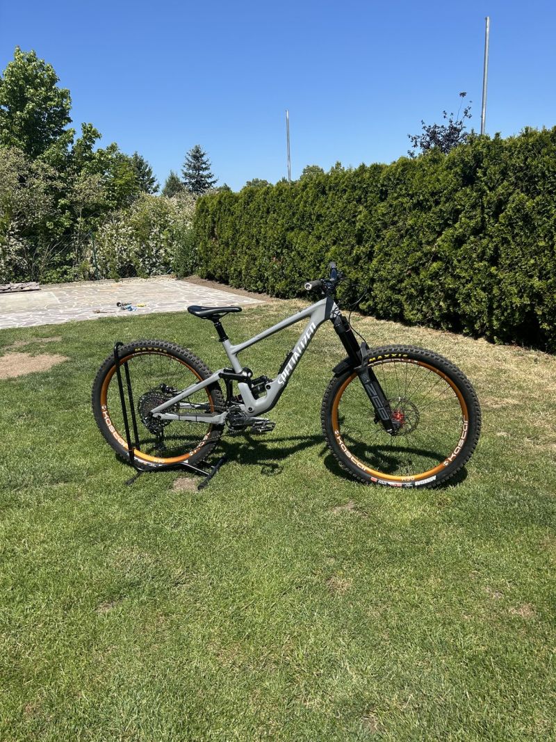 Specialized Enduro custom build