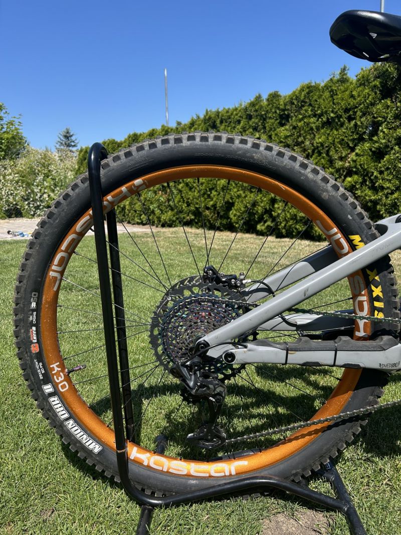 Specialized Enduro custom build