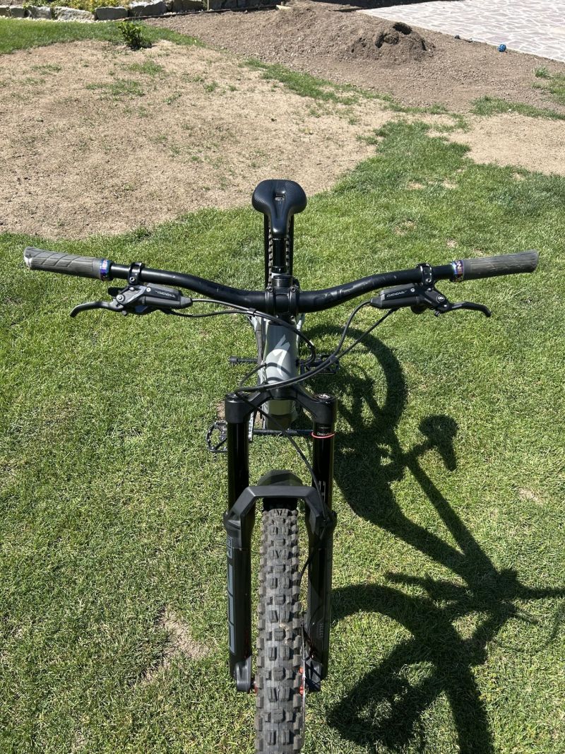Specialized Enduro custom build