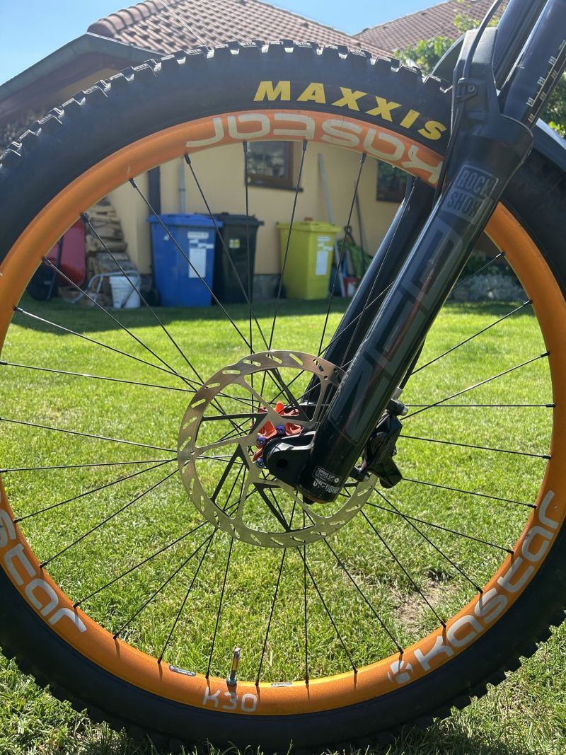 Specialized Enduro custom build