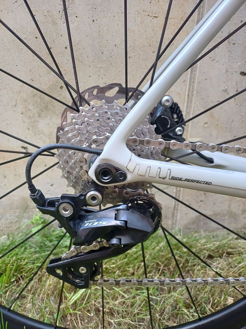 Basso Venta disc 2022