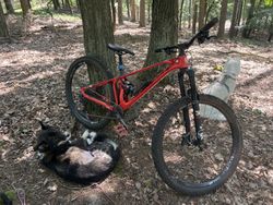 Mondraker Super foxy carbon RR