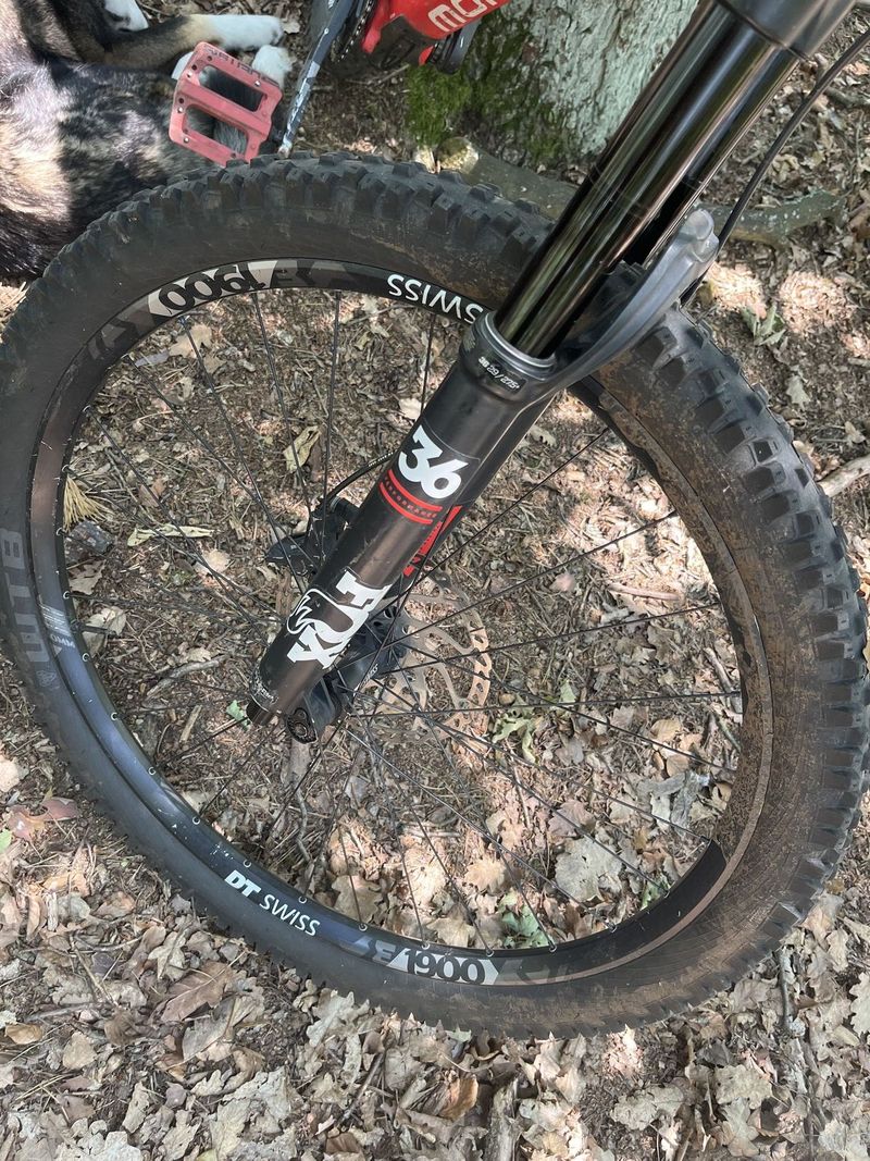 Mondraker Super foxy carbon RR