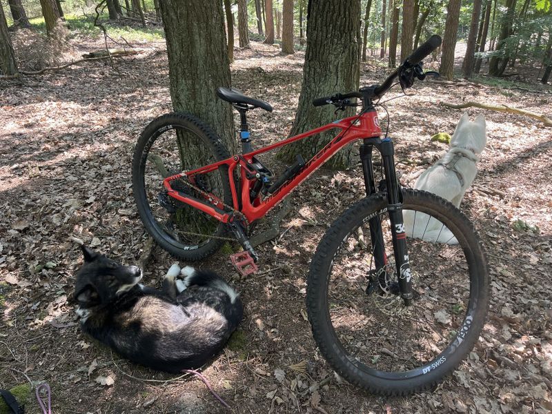 Mondraker Super foxy carbon RR