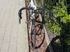 Kuota Kharma race