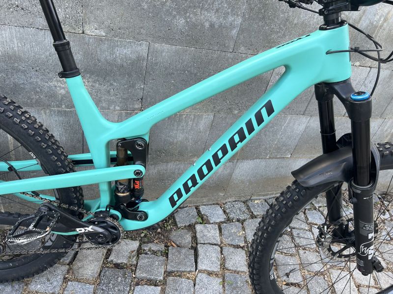 Propain Tyee CF 2022 29 L