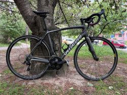 Specialized Roubaix SL4 