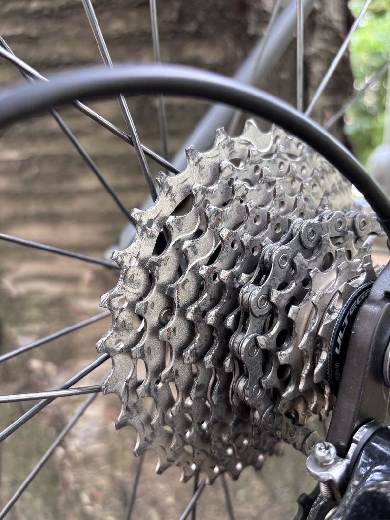 Specialized Roubaix SL4 