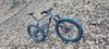 fatbike felt dd-10