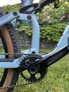Canyon Neuron 6