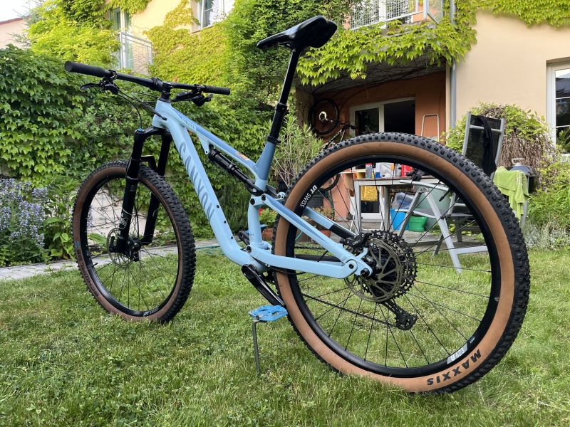 Canyon Neuron 6