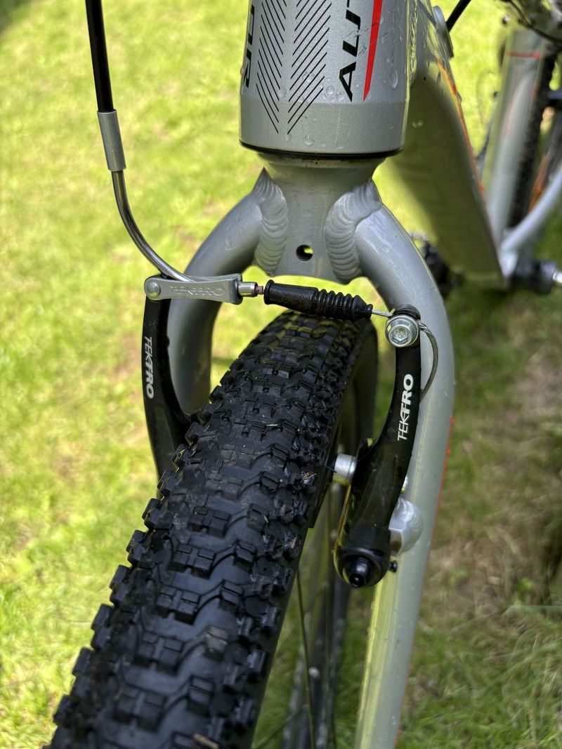 Author Ultrasonic 24 (2019)