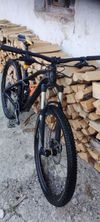 Canyon Nerve Al 6.0