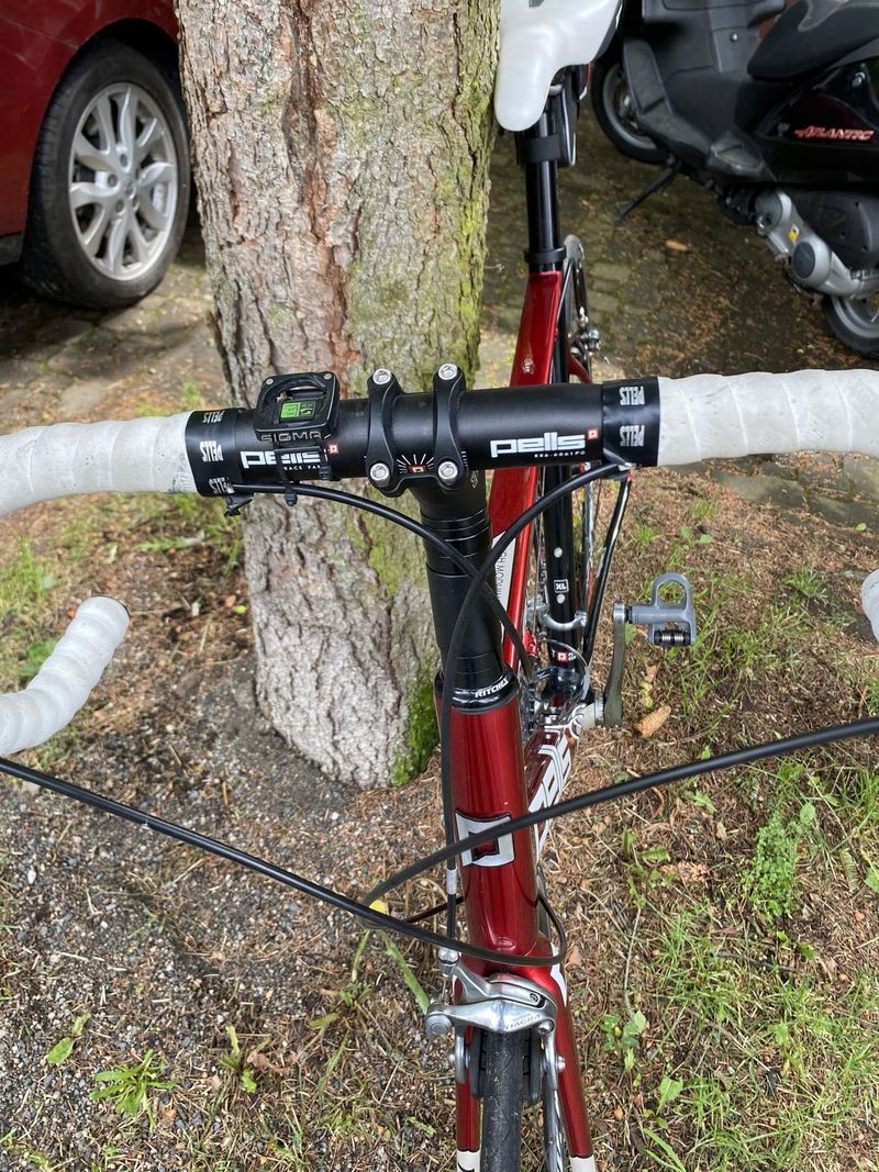 Silniční kolo Pells XL