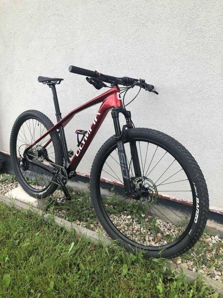 Olympia Iron PRO size M
