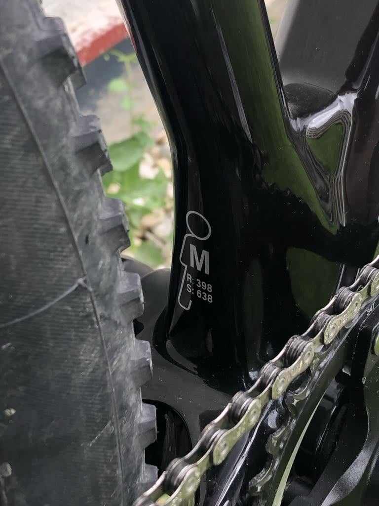 Olympia Iron PRO size M