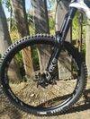 Bold Unplugged V1 (Scott) 