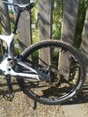 Bold Unplugged V1 (Scott) 