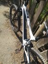 Bold Unplugged V1 (Scott) 