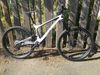 Bold Unplugged V1 (Scott) 