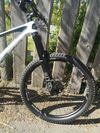 Bold Unplugged V1 (Scott) 