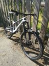 Bold Unplugged V1 (Scott) 