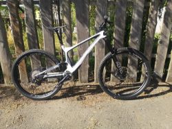 Bold Unplugged V1 (Scott) 