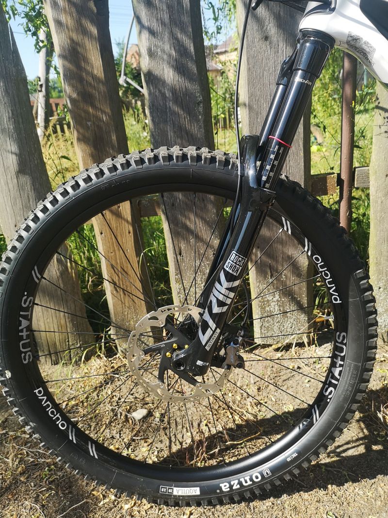 Bold Unplugged V1 (Scott) 