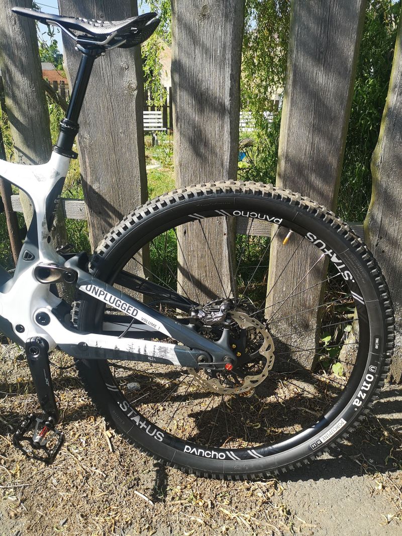 Bold Unplugged V1 (Scott) 