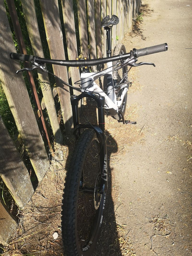 Bold Unplugged V1 (Scott) 