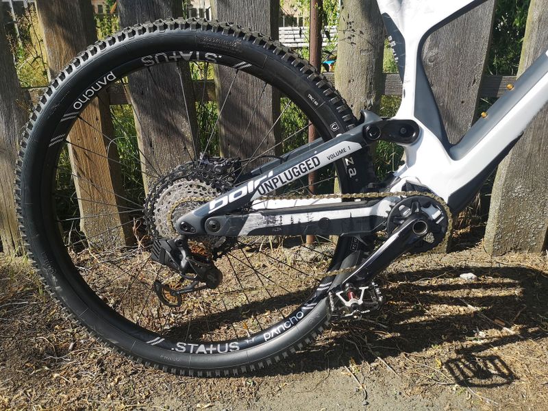 Bold Unplugged V1 (Scott) 