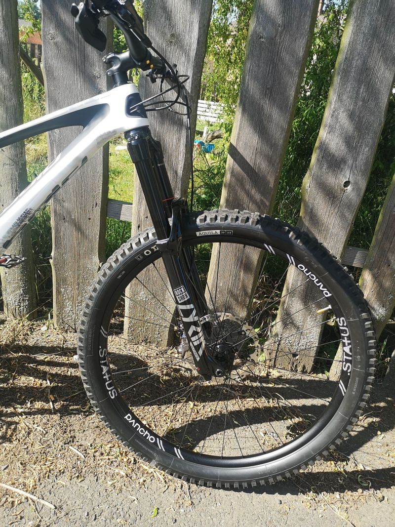 Bold Unplugged V1 (Scott) 