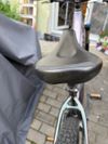 Giant Liv Vall E+ 29" 25 km/h, M Echeveria