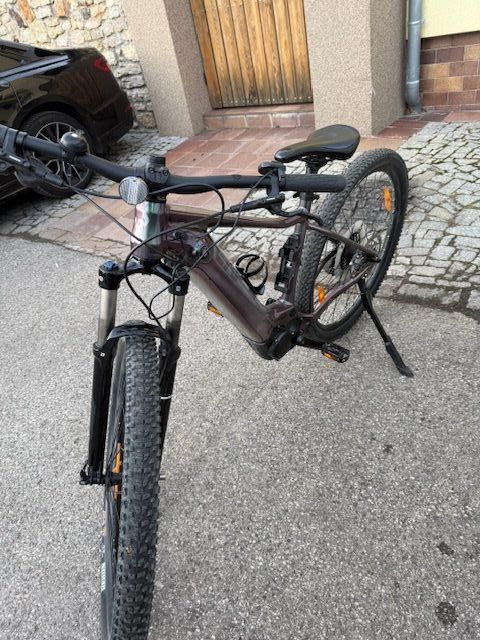 Giant Liv Vall E+ 29" 25 km/h, M Echeveria