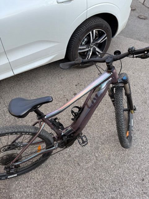 Giant Liv Vall E+ 29" 25 km/h, M Echeveria
