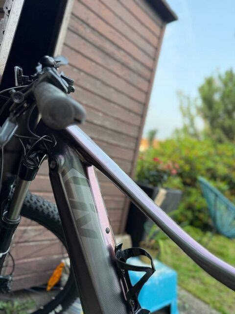 Giant Liv Vall E+ 29" 25 km/h, M Echeveria