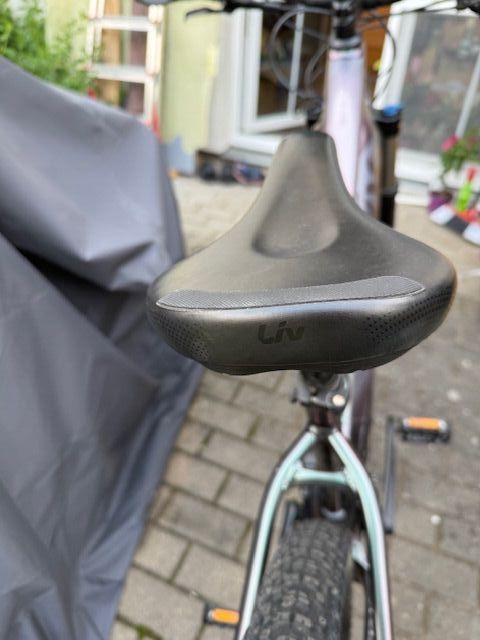 Giant Liv Vall E+ 29" 25 km/h, M Echeveria