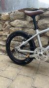 Early Rider Belter 16