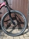 Scott Contessa Active 20 2021