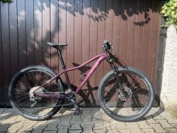 Scott Contessa Active 20 2021