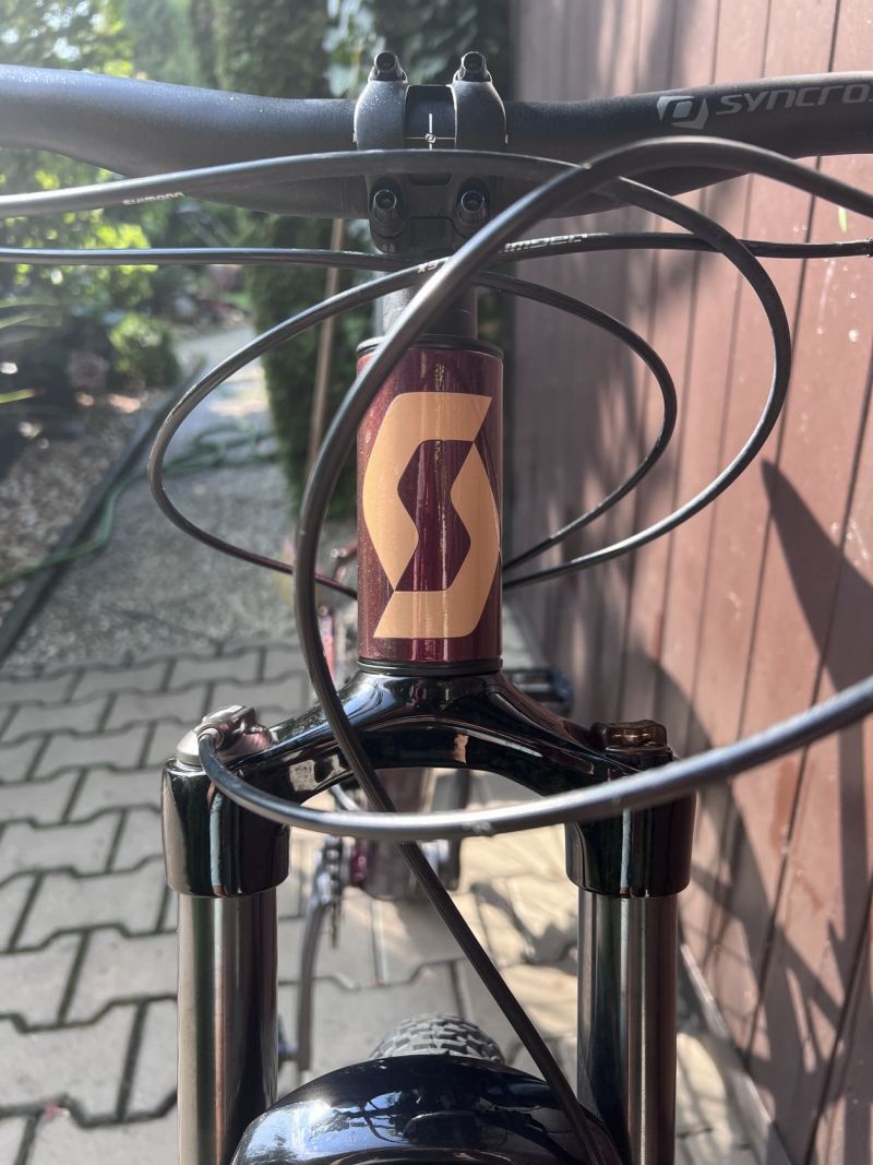 Scott Contessa Active 20 2021
