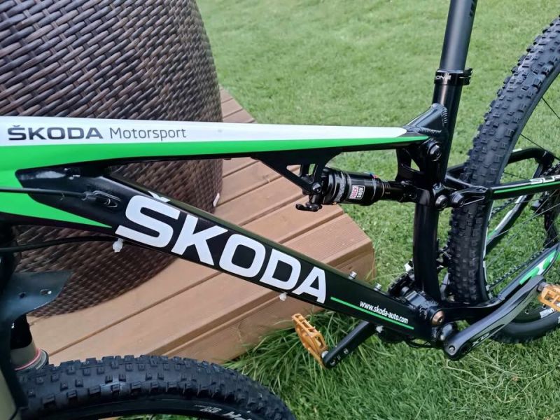 Škoda motorsport